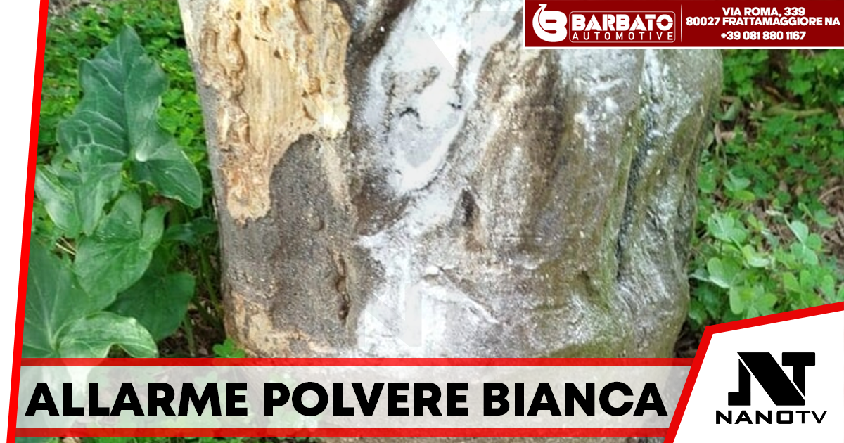 Pozzuoli: Diffusa polvere bianca in città, chiusa Villa Avellino per sicurezza
