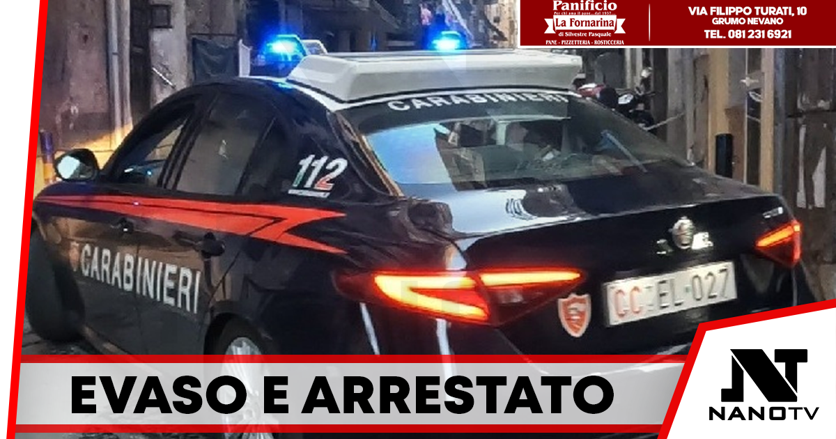 Carabinieri arrestano evaso e sequestrano marijuana nel napoletano