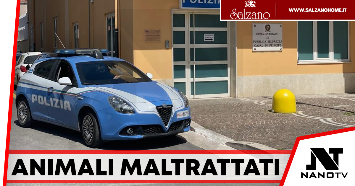 Animali maltrattati e materiali rubati: denunciato imprenditore nell’agro aversano