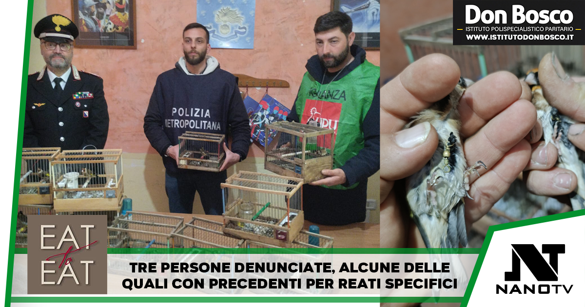 Operazione antibracconaggio tra Sant’Antimo e Villaricca: denunciate tre persone per detenzione illegale di specie protetta (cardellini), ricettazione di fauna selvatica, maltrattamento di animali.