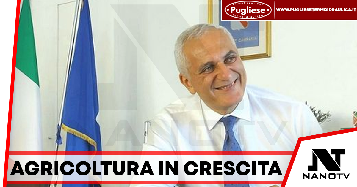 Campania, al via bando da 60 milioni per filiere agricole strategiche: focus su olivo, florovivaismo e allevamento al pascolo