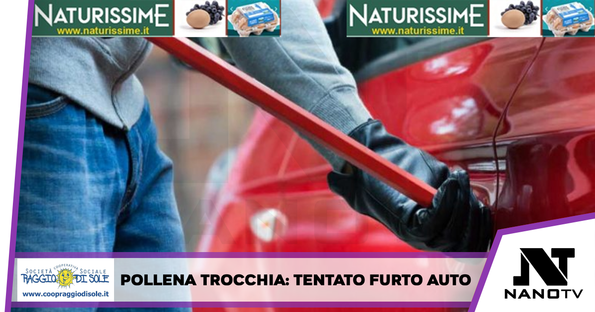 Donna si imbatte in ladri e chiama Cc, arresti e furto sventato A Pollena Trocchia grazie a sue indicazioni bloccati tre uomini