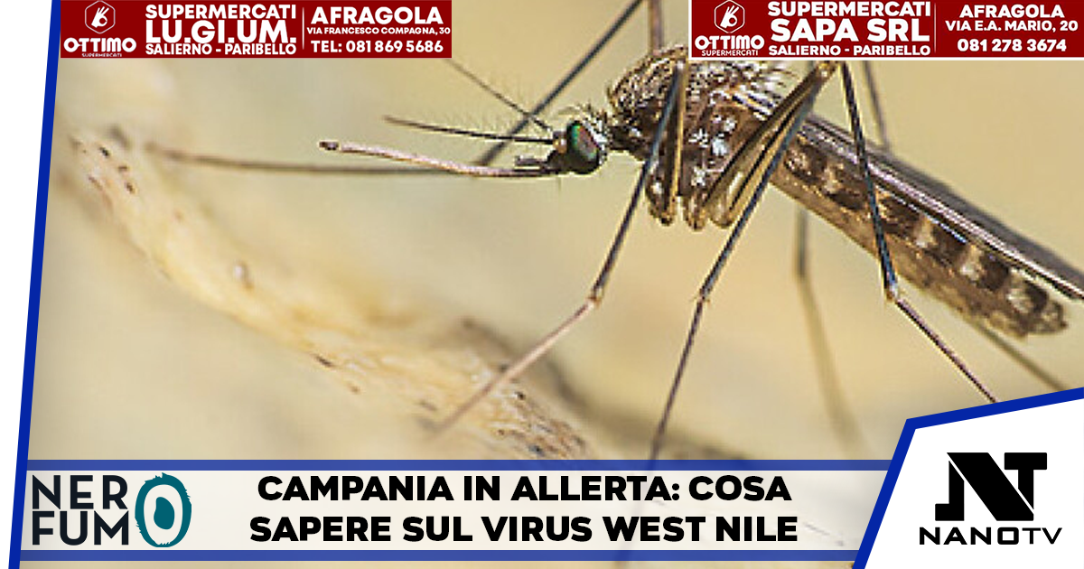 Campania, allerta West Nile: la Regione diffonde un vademecum per la prevenzione