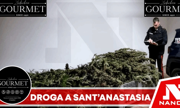 Sant’Anastasia, sorpresi a confezionare droga: arrestati due uomini, sequestrati 109 chili di marijuana