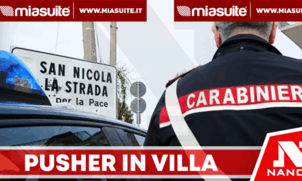 San Nicola la Strada, blitz nella villa comunale: arrestati tre pusher
