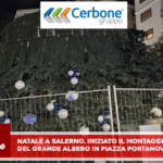Natale a Salerno, iniziato il montaggio del grande albero in Piazza Portanova