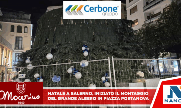 Natale a Salerno, iniziato il montaggio del grande albero in Piazza Portanova