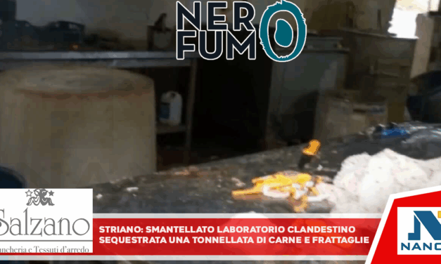 Striano, smantellato laboratorio clandestino: sequestrata una tonnellata di carni e frattaglie