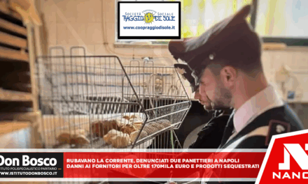 Rubavano la corrente, denunciati due panettieri a Napoli Danni ai fornitori per oltre 170mila euro e prodotti sequestrati