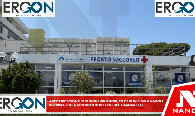 Intossicazione da funghi velenosi, 25 casi in 5 giorni a Napoli In prima linea Centro Antiveleni del Cardarelli