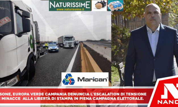 Visone (AVS – Europa Verde): “Gravissimo l’assalto al furgone di Metropolis, clima d’intimidazione inaccettabile”