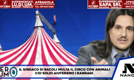Il Sindaco di Bacoli multa il circo con animali: “Coi soldi aiuteremo i randagi”