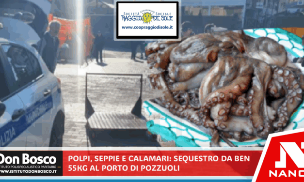 Polpi, seppie e calamari pericolosi: sequestro da ben 55 kg al porto di Pozzuoli