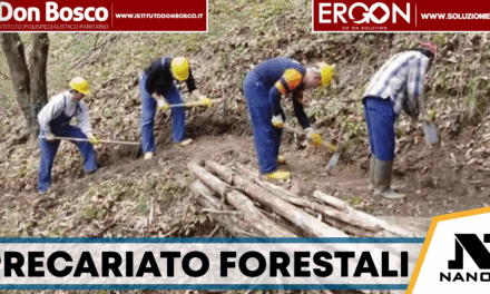 Napoli, salta la stabilizzazione: 12 operai forestali restano precari dopo 16 anni. Sindacati all’attacco: “Promesse tradite, ora basta”