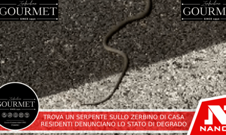 Trova un serpente sullo zerbino di casa, residenti denunciano lo stato di degrado