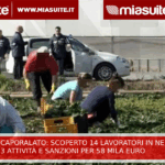 Operazione anti caporalato: scoperti 14 lavoratori in nero. Sospese 3 attività e sanzioni per 58mila euro