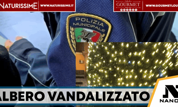 Arzano, danneggia l’albero di Natale in piazza Cimmino: denunciato dalla Polizia locale