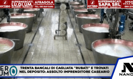 Trenta bancali di cagliata ‘rubati’ e trovati nel deposito: assolto imprenditore caseario