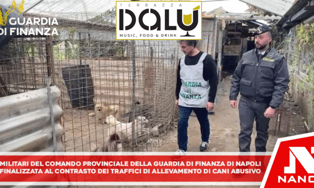 Militari del Comando Provinciale della Guardia di Finanza di Napoli, nell’ambito dei controlli finalizzati alla repressione e al contrasto dei traffici illeciti dei cani