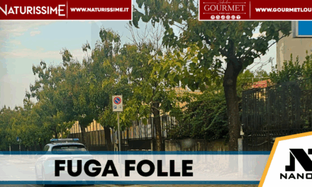 San Giovanni, sperona una volante e tenta la fuga: arrestato 29enne