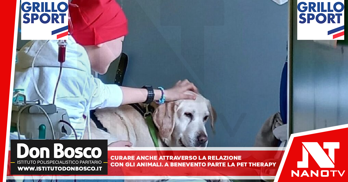 Curare anche attraverso la relazione con gli animali: a Benevento parte la pet therapy per le donne malate di tumore