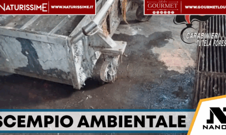 Solofra, sequestrata azienda inquinante: rifiuti tossici abbandonati all’aperto