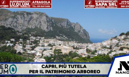 Capri, arrivano le “sentinelle del verde”: il Comune affida a un esperto il controllo degli alberi privati