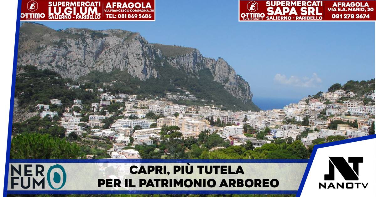 Capri, arrivano le “sentinelle del verde”: il Comune affida a un esperto il controllo degli alberi privati