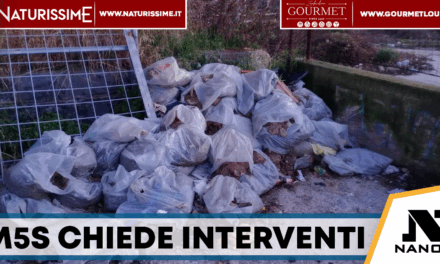 Parcheggio della stazione di Acerra, il Movimento 5 Stelle chiede interventi urgenti per decoro e sicurezza