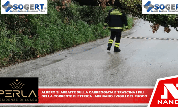 Albero si abbatte sulla carreggiata e trascina i fili della corrente elettrica: arrivano i vigili del fuoco
