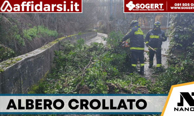 Valle, albero crolla per il maltempo: intervento dei vigili del fuoco sul torrente Fenestrelle