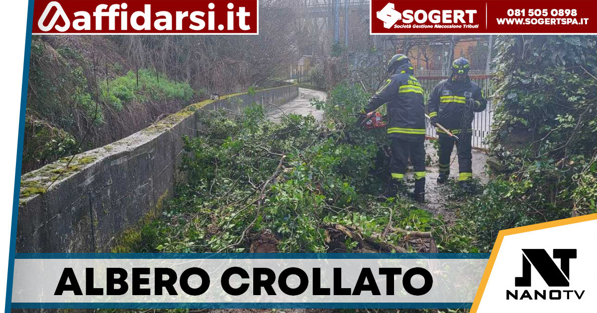 Valle, albero crolla per il maltempo: intervento dei vigili del fuoco sul torrente Fenestrelle