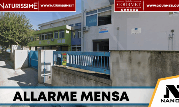 San Paolo Bel Sito, topo in una pentola alla mensa scolastica: scattano i controlli