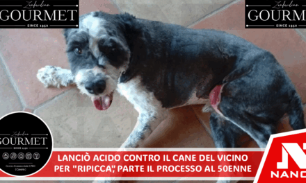 Lanciò acido contro il cane del vicino per ‘ripicca’, parte il processo al 50enne