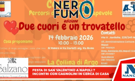 Festa di San Valentino a Napoli? Incontri con cagnolini in cerca di casa