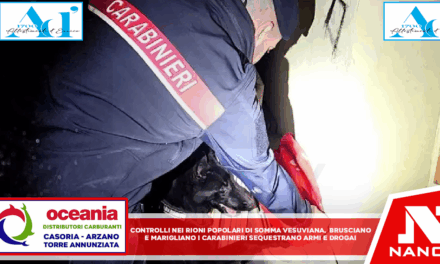 Controlli nei rioni popolari di Somma Vesuviana, Brusciano e Marigliano I Carabinieri sequestrano armi e droga