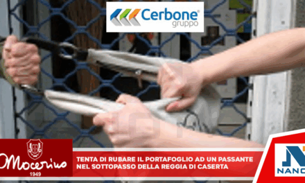 Tenta di rubare il portafoglio ad un passante nel sottopasso della Reggia