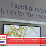 Le Grotte di Pertosa-Auletta, riaprono per San Valentino Nuova stagione dei Musei MIdA al via a Polla con Mario Tozzi