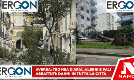 TROMBA D’ARIA. Alberi e pali della luce abbattuti: danni in tutta la città