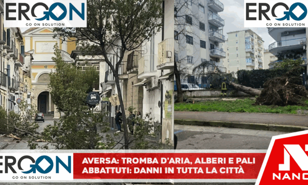 TROMBA D’ARIA. Alberi e pali della luce abbattuti: danni in tutta la città
