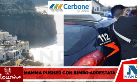 SANT’AGNELLO: Mamma pusher in auto con cocaina e figlio di 5 anni. Arrestata dai Carabinieri