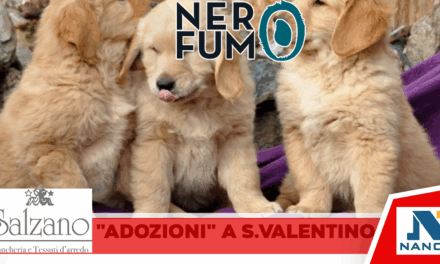 Napoli-“Due cuori e un trovatello”, a San Valentino Asl e Comune organizzano un evento per le adozion