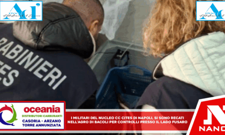 I militari del Nucleo CC CITES di Napoli si sono recati nell’agro del Comune di Bacoli (NA) per effettuare un controllo presso il Lago Fusaro