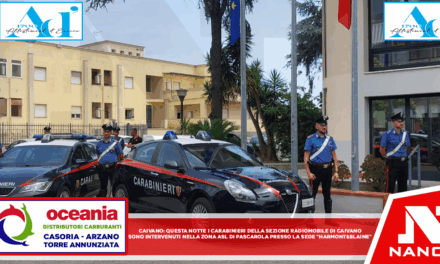 *CAIVANO*: Questa notte i carabinieri della sezione radiomobile di Caivano sono intervenuti nella zona ASI di Pascarola, presso la sede di *Harmont & Blaine*.