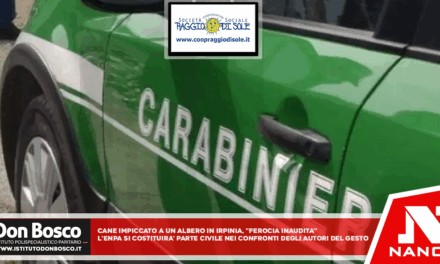 Cane impiccato ad un albero in Irpinia, ‘ferocia inaudita’ L’Enpa si costituirà parte civile nei confronti degli autori del gesto