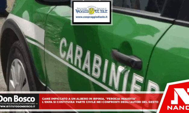 Cane impiccato ad un albero in Irpinia, ‘ferocia inaudita’ L’Enpa si costituirà parte civile nei confronti degli autori del gesto