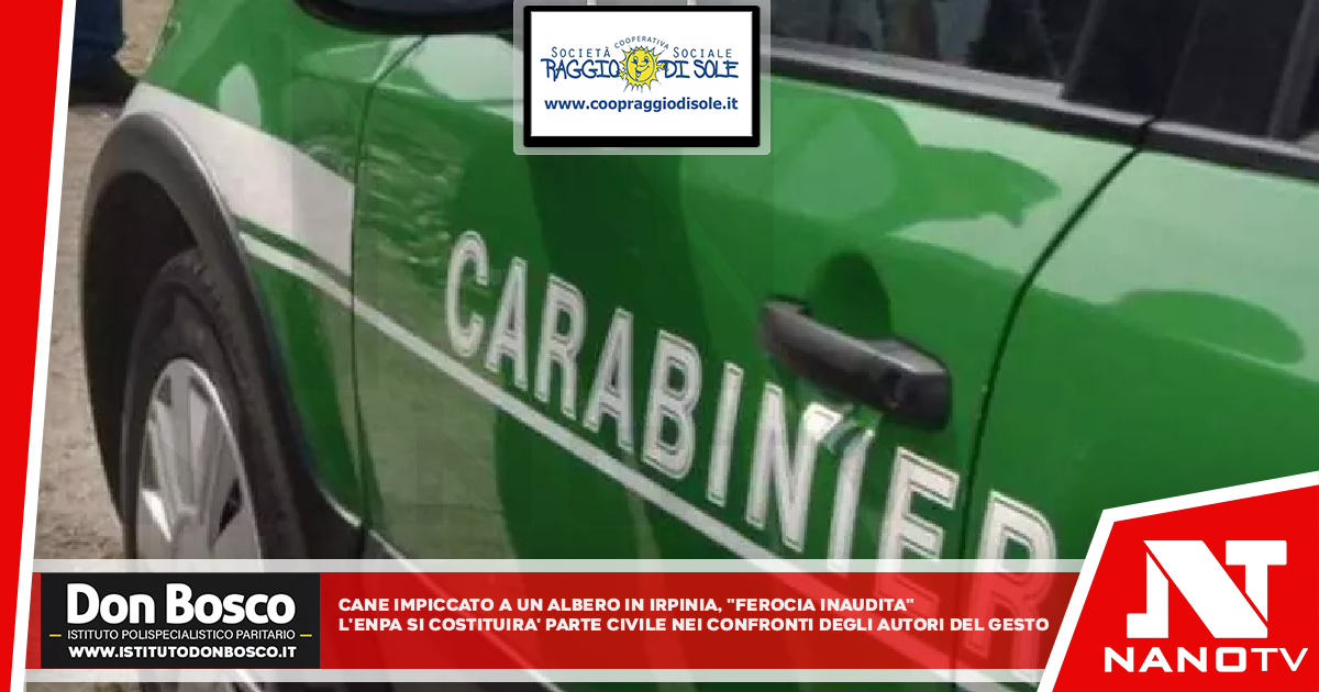 Cane impiccato ad un albero in Irpinia, ‘ferocia inaudita’ L’Enpa si costituirà parte civile nei confronti degli autori del gesto