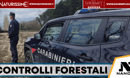 Officina abusiva e campo di tiro illegale: due operazioni dei Carabinieri Forestali tra Poggiomarino e Roccarainola