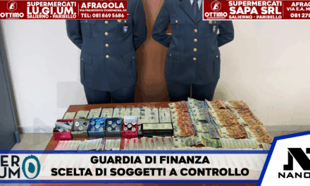 I Militari del Comando Provinciale della Guardia di finanza di Napoli, hanno orientato la scelta dei soggetti da sottoporre a controllo