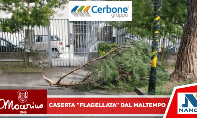 Alberi abbattuti a causa del forte vento: due città ‘flagellate’